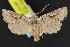  ( - NOC15199)  @14 [ ] Unspecified (default): All Rights Reserved  Unspecified Unspecified