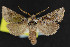  ( - NOC15200)  @13 [ ] Unspecified (default): All Rights Reserved  Unspecified Unspecified
