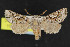  ( - NOC15201)  @14 [ ] Unspecified (default): All Rights Reserved  Unspecified Unspecified
