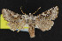  ( - NOC15202)  @13 [ ] Unspecified (default): All Rights Reserved  Unspecified Unspecified