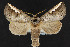  ( - NOC15210)  @14 [ ] Unspecified (default): All Rights Reserved  Unspecified Unspecified