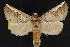  ( - NOC15213)  @13 [ ] Unspecified (default): All Rights Reserved  Unspecified Unspecified