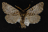  ( - CNCLEP00062935)  @14 [ ] CreativeCommons - Attribution Non-Commercial Share-Alike (2016) Unspecified Unspecified