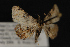  ( - CNCLEP00062951)  @11 [ ] CreativeCommons - Attribution Non-Commercial Share-Alike (2016) Unspecified Unspecified