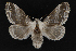  ( - CNCLEP00063090)  @14 [ ] CreativeCommons - Attribution Non-Commercial Share-Alike (2016) Unspecified Unspecified