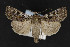  ( - CNCLEP00054411)  @13 [ ] CreativeCommons - Attribution Non-Commercial Share-Alike (2016) Unspecified Unspecified