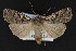  ( - CNCLEP00054412)  @13 [ ] CreativeCommons - Attribution Non-Commercial Share-Alike (2016) Unspecified Unspecified
