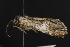  ( - CNCLEP00054437)  @13 [ ] CreativeCommons - Attribution Non-Commercial Share-Alike (2016) Unspecified Unspecified
