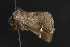  ( - CNCLEP00054440)  @12 [ ] CreativeCommons - Attribution Non-Commercial Share-Alike (2016) Unspecified Unspecified