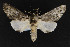  ( - CNCLEP00054442)  @14 [ ] CreativeCommons - Attribution Non-Commercial Share-Alike (2016) Unspecified Unspecified