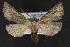  ( - CNCLEP00054461)  @11 [ ] CreativeCommons - Attribution Non-Commercial Share-Alike (2016) Unspecified Unspecified