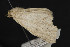  ( - CNCLEP00054565)  @13 [ ] CreativeCommons - Attribution Non-Commercial Share-Alike (2016) Unspecified Unspecified