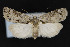  ( - CNCLEP00057746)  @13 [ ] CreativeCommons - Attribution Non-Commercial Share-Alike (2016) Unspecified Unspecified