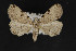  ( - CNCLEP00057799)  @12 [ ] CreativeCommons - Attribution Non-Commercial Share-Alike (2016) Unspecified Unspecified