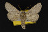  ( - CNCLEP00057809)  @13 [ ] CreativeCommons - Attribution Non-Commercial Share-Alike (2016) Unspecified Unspecified