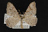  ( - CNCLEP00054333)  @13 [ ] CreativeCommons - Attribution Non-Commercial Share-Alike (2016) Unspecified Unspecified
