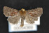  ( - CNCLEP00054369)  @14 [ ] CreativeCommons - Attribution Non-Commercial Share-Alike (2016) Unspecified Unspecified