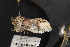  ( - CNCLEP00054378)  @12 [ ] CreativeCommons - Attribution Non-Commercial Share-Alike (2016) Unspecified Unspecified