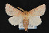  ( - CNCLEP00054390)  @13 [ ] CreativeCommons - Attribution Non-Commercial Share-Alike (2016) Unspecified Unspecified