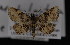  ( - CNCLEP00064155)  @13 [ ] CreativeCommons - Attribution Non-Commercial Share-Alike (2016) Unspecified Unspecified