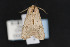  ( - CNCLEP00053307)  @11 [ ] CreativeCommons - Attribution Non-Commercial Share-Alike (2016) Unspecified Unspecified