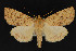  ( - CNC LEP 68005)  @11 [ ] Unspecified (default): All Rights Reserved  Unspecified Unspecified