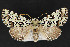  ( - CNCLEP 69745)  @13 [ ] CreativeCommons - Attribution Non-Commercial Share-Alike (2010) Canadian National Collection of Insects, Arachnids and Nematodes Canadian National Collection of Insects, Arachnids and Nematodes