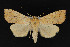  ( - CNCLEP 69753)  @11 [ ] CreativeCommons - Attribution Non-Commercial Share-Alike (2010) Canadian National Collection of Insects, Arachnids and Nematodes Canadian National Collection of Insects, Arachnids and Nematodes
