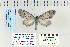 ( - CNCLEP 70227)  @12 [ ] CreativeCommons - Attribution Non-Commercial Share-Alike (2010) Canadian National Collection of Insects, Arachnids and Nematodes Canadian National Collection of Insects, Arachnids and Nematodes