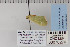  ( - CNCLEP 70276)  @12 [ ] CreativeCommons - Attribution Non-Commercial Share-Alike (2010) Canadian National Collection of Insects, Arachnids and Nematodes Canadian National Collection of Insects, Arachnids and Nematodes