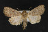  ( - CNCLEP 73797)  @13 [ ] CreativeCommons - Attribution Non-Commercial Share-Alike (2016) Unspecified Unspecified