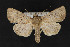  ( - CNCLEP 73798)  @13 [ ] CreativeCommons - Attribution Non-Commercial Share-Alike (2016) Unspecified Unspecified