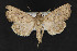  ( - CNCLEP 73803)  @13 [ ] CreativeCommons - Attribution Non-Commercial Share-Alike (2016) Unspecified Unspecified