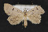  ( - CNCLEP 73815)  @14 [ ] CreativeCommons - Attribution Non-Commercial Share-Alike (2016) Unspecified Unspecified