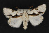  ( - CNCLEP 73862)  @14 [ ] CreativeCommons - Attribution Non-Commercial Share-Alike (2016) Unspecified Unspecified