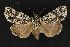  ( - CNCLEP 73868)  @14 [ ] CreativeCommons - Attribution Non-Commercial Share-Alike (2016) Unspecified Unspecified