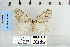  ( - CNCLEP 79947)  @11 [ ] CreativeCommons - Attribution Non-Commercial Share-Alike (2010) Canadian National Collection of Insects, Arachnids and Nematodes Canadian National Collection of Insects, Arachnids and Nematodes