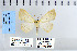  ( - CNCLEP 79956)  @11 [ ] CreativeCommons - Attribution Non-Commercial Share-Alike (2010) Canadian National Collection of Insects, Arachnids and Nematodes Canadian National Collection of Insects, Arachnids and Nematodes