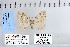  ( - CNCLEP 79969)  @12 [ ] CreativeCommons - Attribution Non-Commercial Share-Alike (2010) Canadian National Collection of Insects, Arachnids and Nematodes Canadian National Collection of Insects, Arachnids and Nematodes