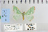  ( - CNCLEP 80000)  @13 [ ] CreativeCommons - Attribution Non-Commercial Share-Alike (2010) Canadian National Collection of Insects, Arachnids and Nematodes Canadian National Collection of Insects, Arachnids and Nematodes