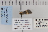 ( - CNCLEP 80020)  @12 [ ] CreativeCommons - Attribution Non-Commercial Share-Alike (2010) Canadian National Collection of Insects, Arachnids and Nematodes Canadian National Collection of Insects, Arachnids and Nematodes