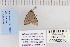  ( - CNCLEP 80076)  @12 [ ] CreativeCommons - Attribution Non-Commercial Share-Alike (2010) Canadian National Collection of Insects, Arachnids and Nematodes Canadian National Collection of Insects, Arachnids and Nematodes