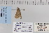  ( - CNCLEP 80123)  @12 [ ] CreativeCommons - Attribution Non-Commercial Share-Alike (2010) Canadian National Collection of Insects, Arachnids and Nematodes Canadian National Collection of Insects, Arachnids and Nematodes