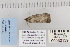  ( - CNCLEP 80139)  @11 [ ] CreativeCommons - Attribution Non-Commercial Share-Alike (2010) Canadian National Collection of Insects, Arachnids and Nematodes Canadian National Collection of Insects, Arachnids and Nematodes
