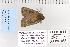  ( - CNCLEP 80155)  @12 [ ] CreativeCommons - Attribution Non-Commercial Share-Alike (2010) Canadian National Collection of Insects, Arachnids and Nematodes Canadian National Collection of Insects, Arachnids and Nematodes