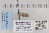  ( - CNCLEP 80185)  @12 [ ] CreativeCommons - Attribution Non-Commercial Share-Alike (2010) Canadian National Collection of Insects, Arachnids and Nematodes Canadian National Collection of Insects, Arachnids and Nematodes