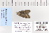  ( - CNCLEP 80190)  @12 [ ] CreativeCommons - Attribution Non-Commercial Share-Alike (2010) Canadian National Collection of Insects, Arachnids and Nematodes Canadian National Collection of Insects, Arachnids and Nematodes