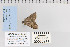  ( - CNCLEP 80211)  @12 [ ] CreativeCommons - Attribution Non-Commercial Share-Alike (2010) Canadian National Collection of Insects, Arachnids and Nematodes Canadian National Collection of Insects, Arachnids and Nematodes