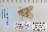  ( - CNCLEP 80296)  @12 [ ] CreativeCommons - Attribution Non-Commercial Share-Alike (2010) Canadian National Collection of Insects, Arachnids and Nematodes Canadian National Collection of Insects, Arachnids and Nematodes