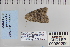  ( - CNCLEP 80299)  @12 [ ] CreativeCommons - Attribution Non-Commercial Share-Alike (2010) Canadian National Collection of Insects, Arachnids and Nematodes Canadian National Collection of Insects, Arachnids and Nematodes